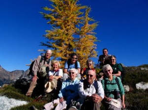 Golden Agers with Golden Larches
